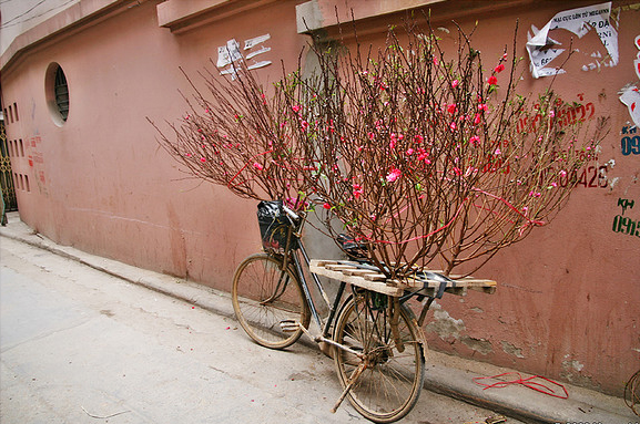 Tết về. Nhớ những&hellip; độ Xu&acirc;n! 